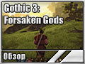 Gothic 3: Forsaken Gods ()